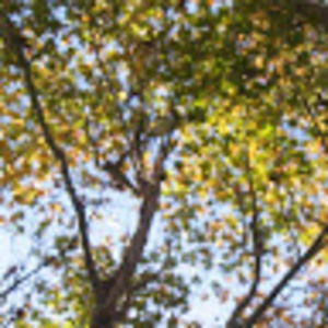 Meet your Posher, Ella